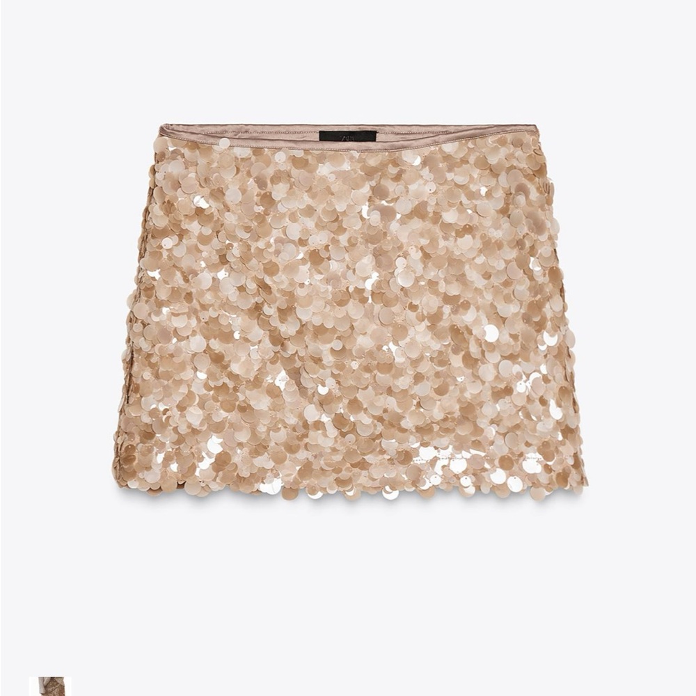 Sequin Embellished Tan Skirt